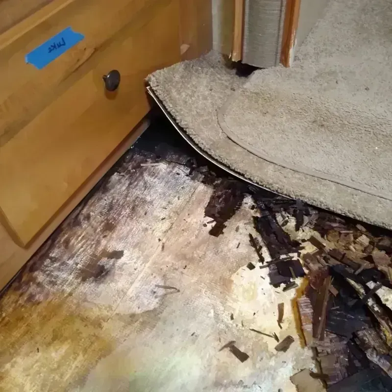 Best Wood Floor Water Damage Service in Hollins, VA